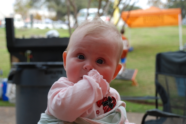 2008-11-27 14-21-3333.JPG
